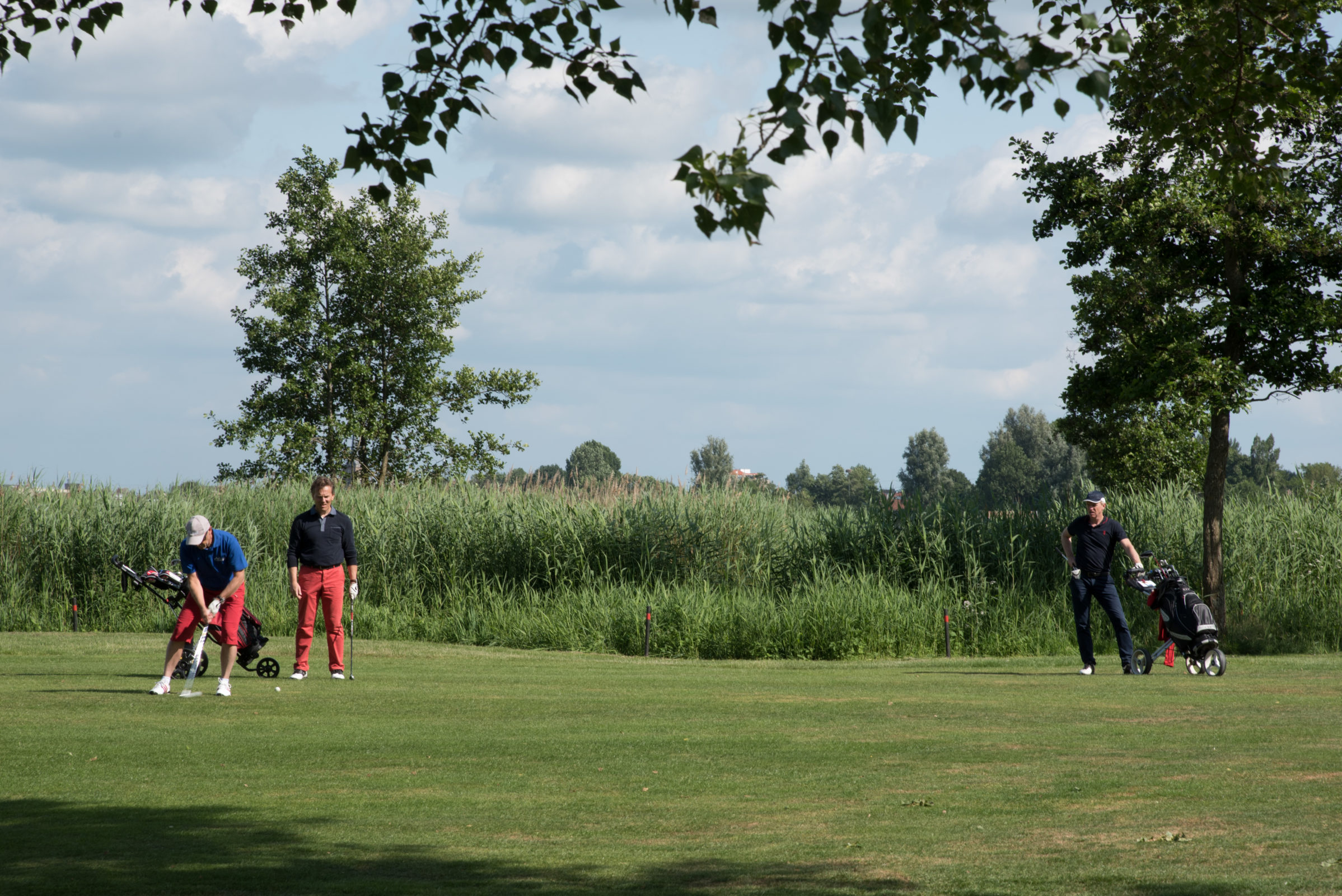 Golf Event Laudame Financials 2019