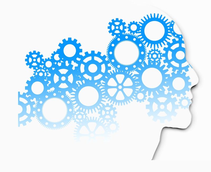 Psychologie Van Risicomanagement - Laudame Financials