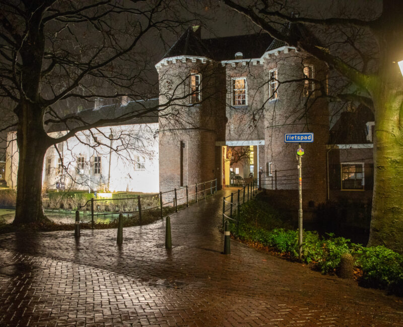 Kerstdiner Laudame Financials 2019