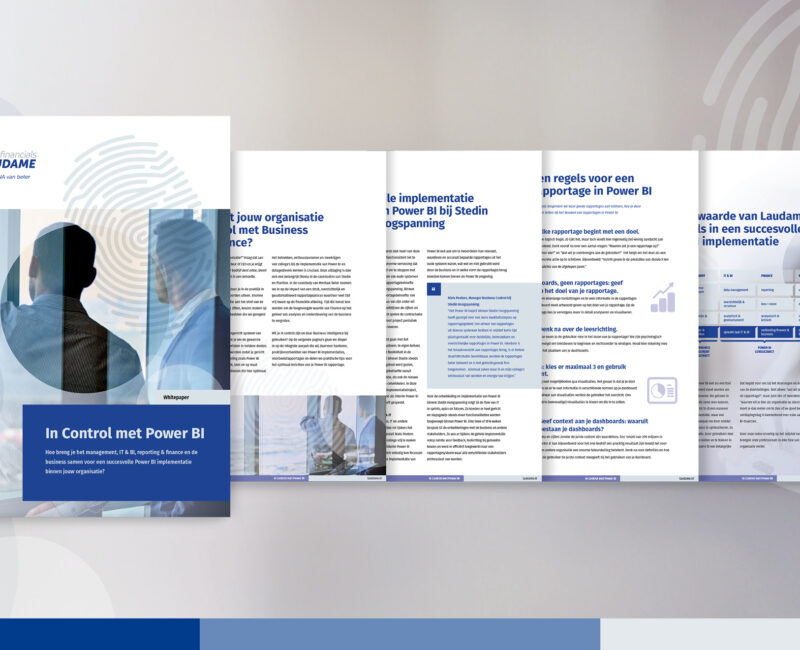 Laudame Financials Whitepaper Power BI
