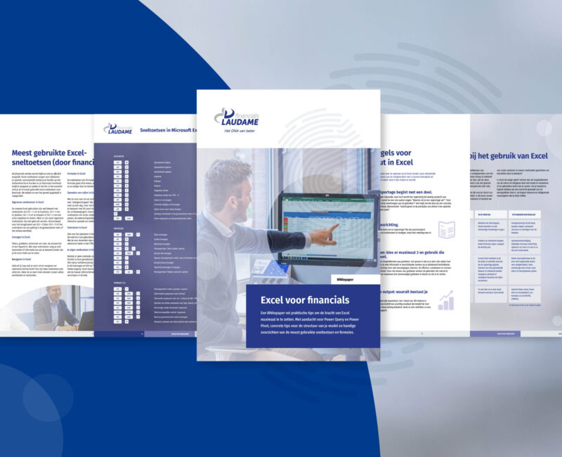 Whitepaper Excel voor financials