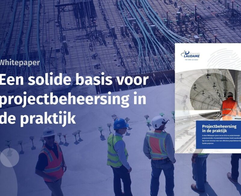 Whitepaper Projectbeheersing in de praktijk